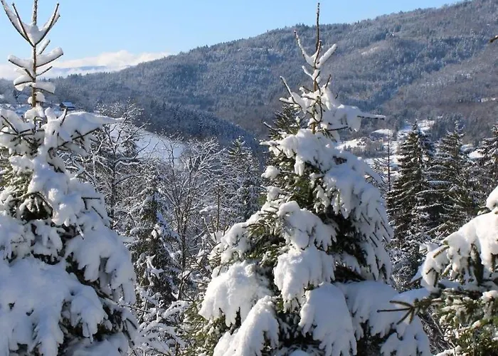 Les Du Plane Saint-Andre-de-Boege