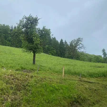 公寓 Les Du Plane Saint-Andre-de-Boege